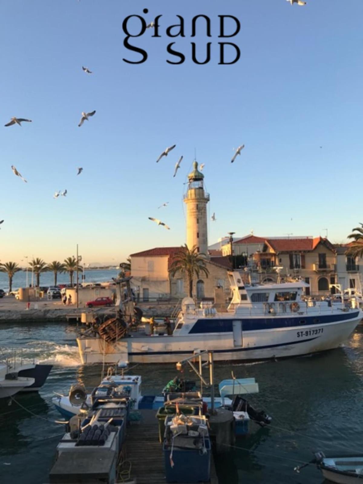 Le Soleil Couchant Le Grau-du-Roi Extérieur photo