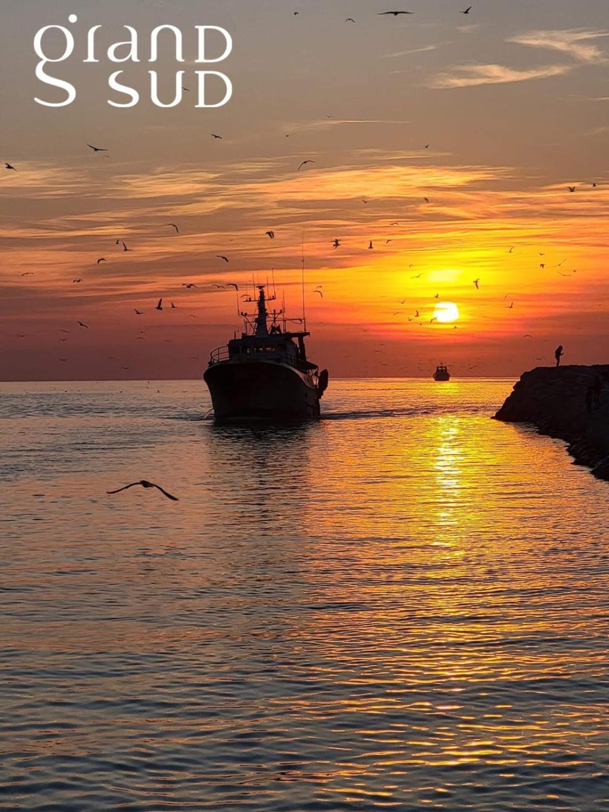 Le Soleil Couchant Le Grau-du-Roi Extérieur photo